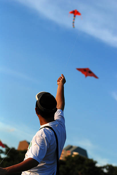 istock man flying a kite in the parks 144211901