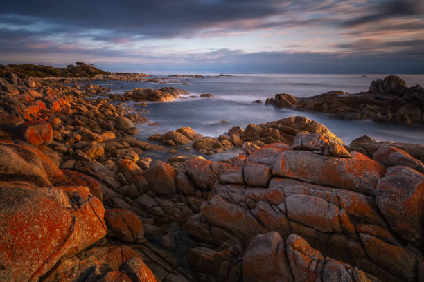 istock Larapuna Eddystone Point, Tasmania at sunrise 1442119664