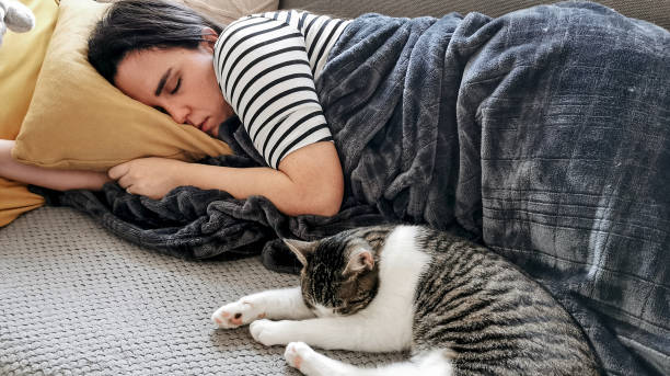 istock Young Caucasian woman sleeping on a couch with a cat under a warm blanket 1442119689