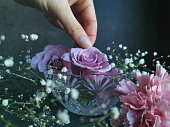 nahaufnahme-einer-hand-die-die-lila-rose-in-eine-transparente-vase-auf-verschwommenem.jpg?b=1&s=170x170&k=20&c=DaHw_eRB1FeA-u8N1iTRCKdZ9N5Mo1z-ZqbzMA05NxA=