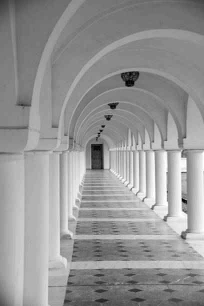 istock Vertical shot of a corridor with many columns 1442121444