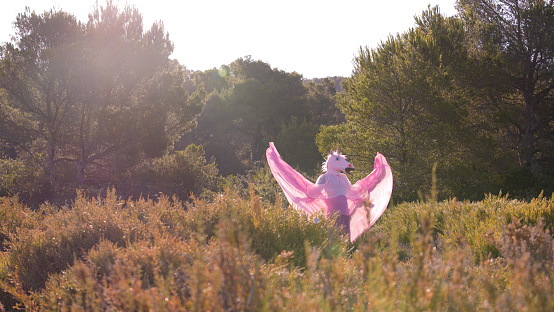 An adult in a pink unicorn costume standing lost in a densely vegetated field
