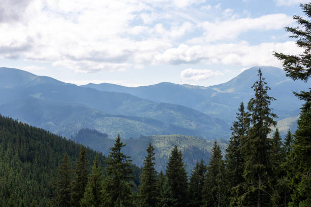 istock Aerial shot of forested mountains under a bright sky 1442122142