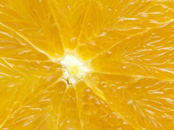 istock Closeup shot of a pulpy fresh orange 1442122150
