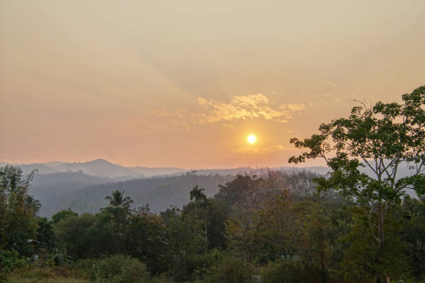 istock Scenic sunset over a country landscape covered with trees 1442122415