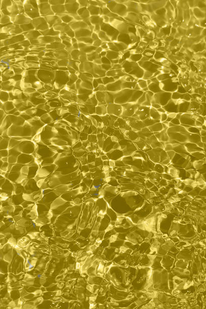 istock Defocus blurred transparent gold colored clear calm water surface texture with splashes and bubbles. Trendy abstract nature background. Water waves in sunlight with copy space. Gold watercolor shining 1442122885