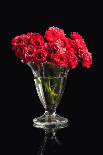 A vertical shot of red roses in a vase isolated on a black background