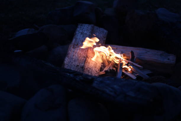 istock Closeup of a burning fire in the darkness 1442123175