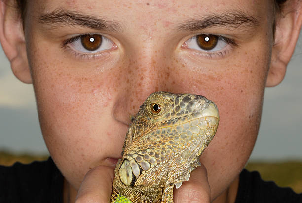 istock girl and pet iguana 144212407