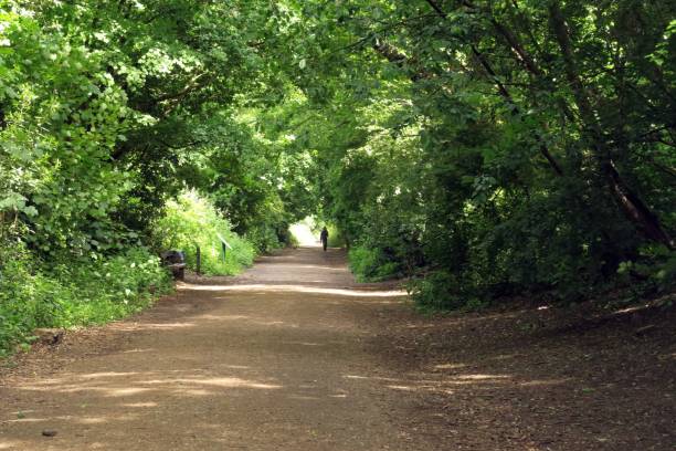 istock Parkland Walk, London 1442124083