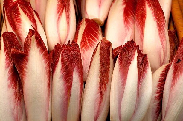 Endigia Red Endive stock photo