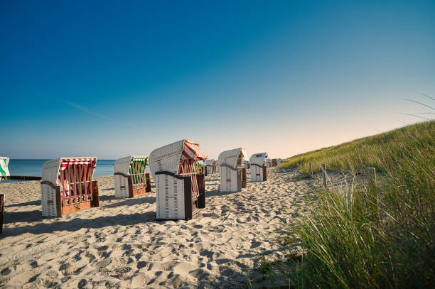 istock Beach chair on the Baltic Sea 1442124153