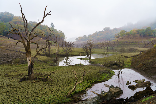 A beautiful shot of Yorty Creek Lake after a large rainstorm in drought-stricken Sonoma County, California