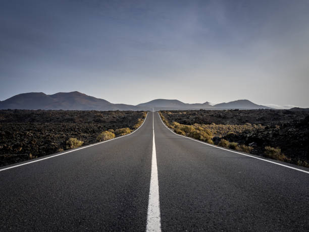 istock Highway in a field in the countrysi 1442124441