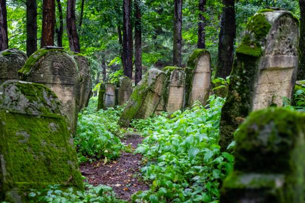istock Jewish Cemetery in Lesko, Poland 1442124758