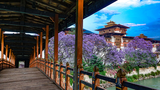 The Beautiful Punakha dzong or fortress built in the 17th century is where the King of Bhutan was crowned.