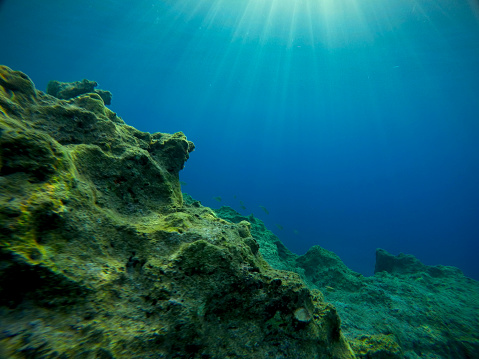 Rays of sunlight shining into sea, underwater view