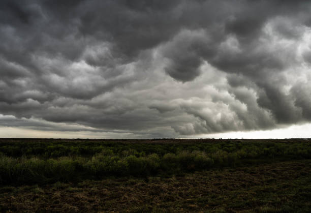 istock Cloudy stormy sky over the coastal plains 1442125731