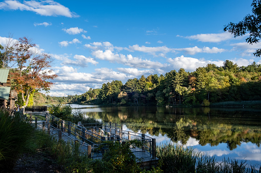 A beautiful nature view with a clear lake in Forest Park Springfield, Massachusetts
