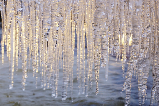 Many hanging icycles in the forest in winter