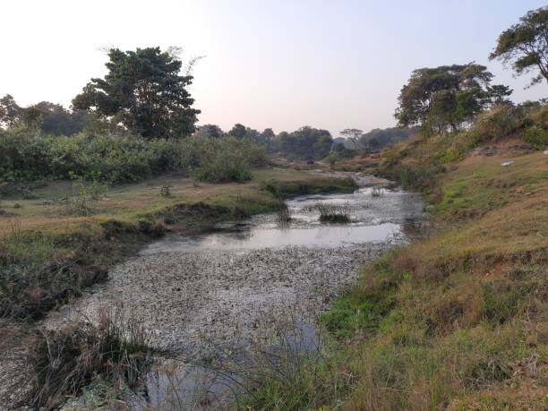 istock Beautiful country landscape with a river 1442126807
