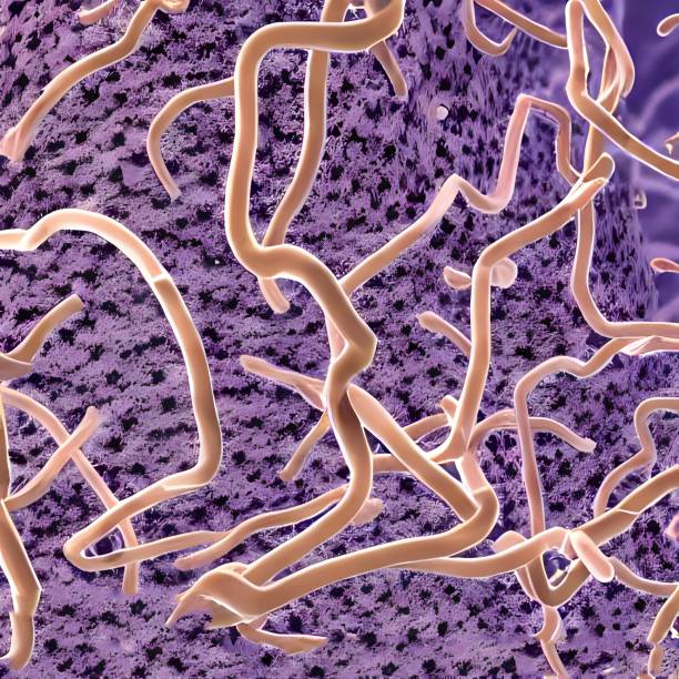 istock 3D rendering of green virus bacteria floating in a cellular environment 1442127055