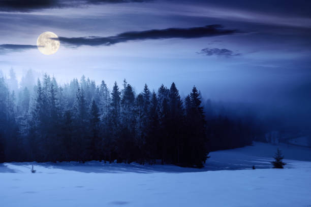 istock mountain landscape on a foggy night 1442127416