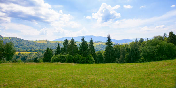 istock countryside landscape on a sunny summer day 1442127443