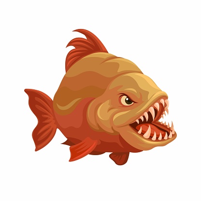 Piranha fish from South American rivers. animal species character mascot cartoon illustration vector