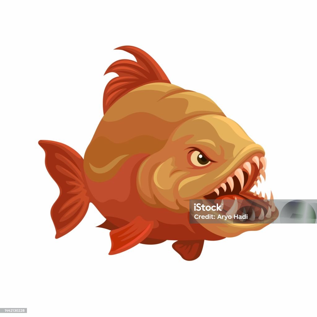 Piranha Fish From South American Rivers Animal Species Character Mascot  Cartoon Illustration Vector Stock Illustration - Download Image Now - iStock