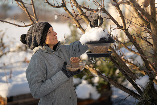 Mature adult woman in warm winter clothes refilling birds feeder covered with snow haning in tree in her garden, side view, upper body