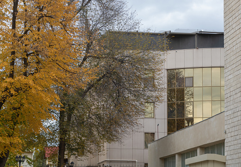 A few trees with yellow autumn leaves next to a beautiful building with luxurious windows.