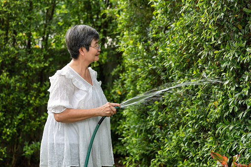 Happy Asian retired elderly woman doing outdoor activities in summer by watering plants in the garden at home