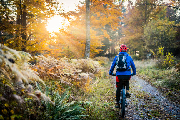 istock Man riding mountain bike in forest 1442139150