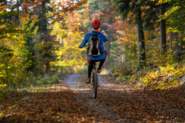 istock Man riding mountain bike in forest 1442139667
