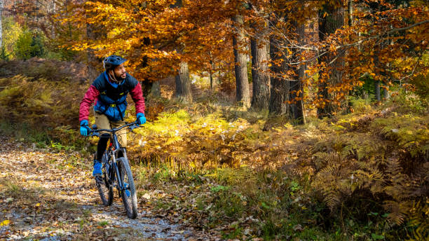 istock Man riding mountain bike in forest 1442139829