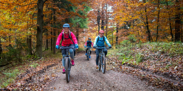 istock Women riding mountain bikes in forest 1442139926