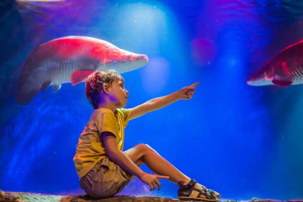 istock Young boy enjoy the view at an aquarium 1442143429