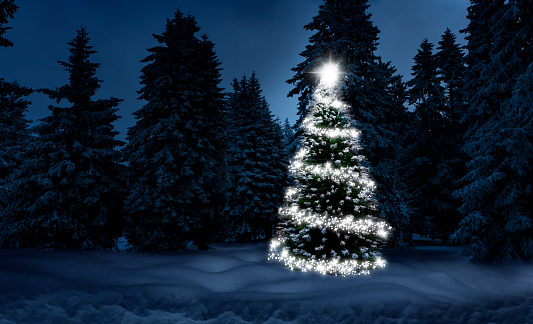 Beautiful decorated snowed in christmas tree in a cold winterlandscape.