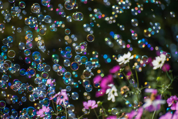 istock Cosmos field and soap bubbles 1442152701