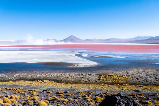 der nationalpark eduardo avaroa ist das wichtigste tierreservat und die größte parklandschaft boliviens - laguna colorada stock-fotos und bilder