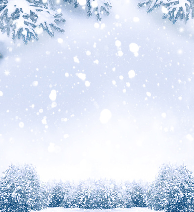 Christmas card. Blur. Frozen winter forest with snow covered trees. outdoor. New Years Eve