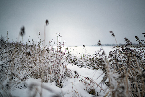 Hazerwoude, Netherlands - February 12, 2021:  Winter polder landscape near Hazerswoude. Snow on the grass and a frozen ditch