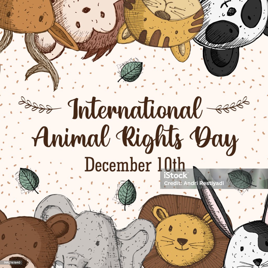 Hand Drawing International Animal Rights Day Banner Stock Illustration -  Download Image Now - iStock