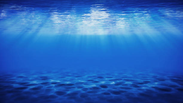 istock Underwater Blue Ocean with caustic and light rays - Sea bottom underwater background. 3d rendering 1442165859