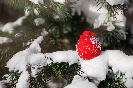 Decorative Christmas balls and Christmas tree on the snow.