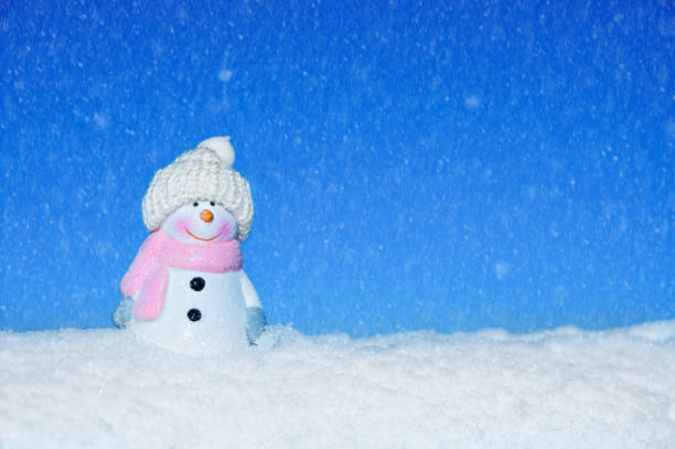 istock snowman in hat for christmas card 1442167220