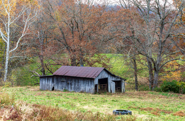 istock Rustic wooden barn in autumn pasture 1442168946