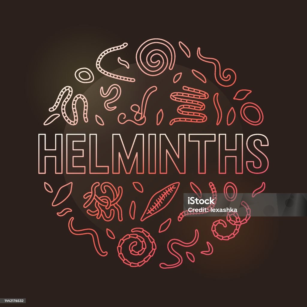 Helminth Animation Helminths Round Colorful Banner Vector Concept Circular Illustration ...