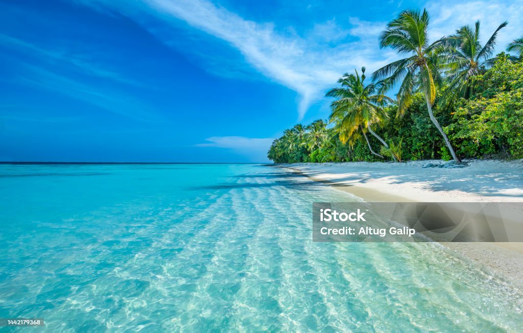 Maldives Island Maldives Tropical Island Beach Stock Photo